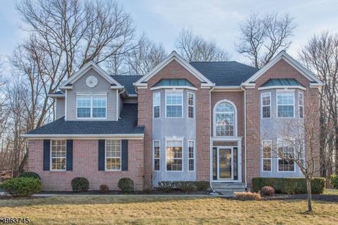 8 Stratton Ct, Hackettstown, NJ 07840 photo 1