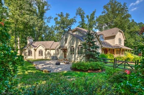 6 Nesbitt Dr, Mendham, NJ 07945 photo 20