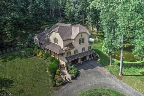 6 Nesbitt Dr, Mendham, NJ 07945 photo 23