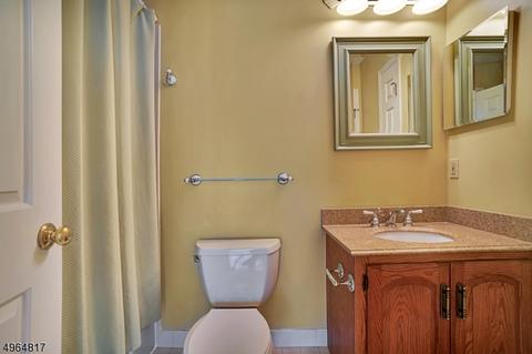 2 Lockhaven Ct, Bedminster, NJ 07921 photo 20