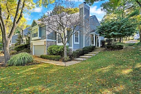 2 Lockhaven Ct, Bedminster, NJ 07921 photo 1