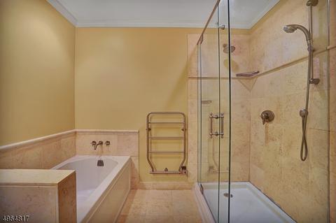 2 Lockhaven Ct, Bedminster, NJ 07921 photo 16