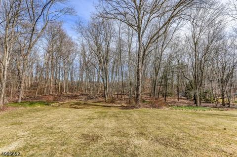 38 Drake Rd, Mendham, NJ 07945 photo 21