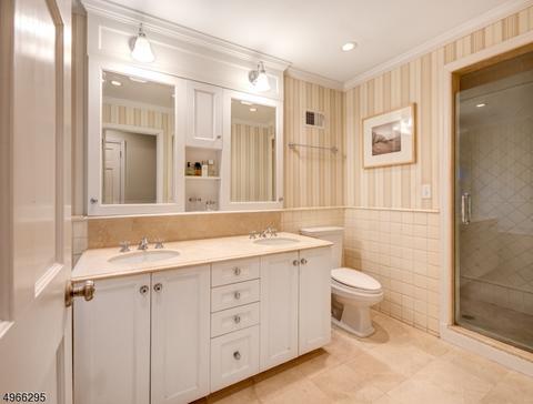 80 Dale Dr, Summit, NJ 07901 photo 14