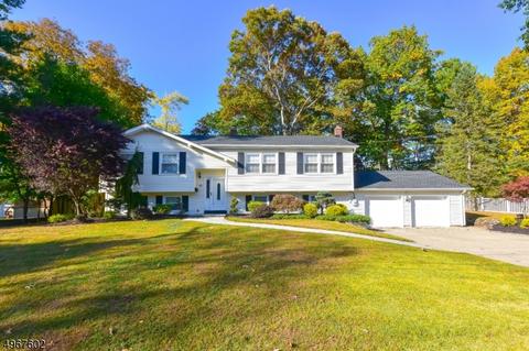 110 Fieldstone Pl, Wayne, NJ 07470 photo 1