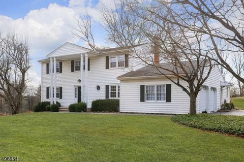 6 Leddell Rd, Mendham, NJ 07945 photo 1