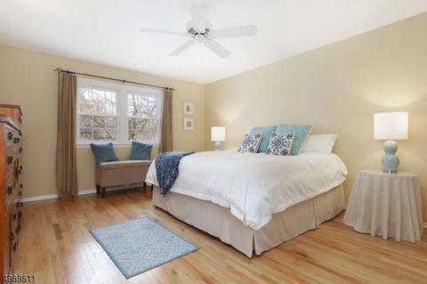 6 Leddell Rd, Mendham, NJ 07945 photo 14