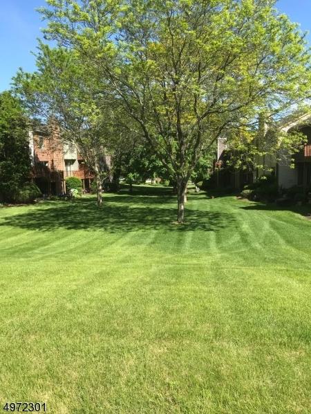 41 Duck Hawk Ct, Hackettstown, NJ 07840 photo 3