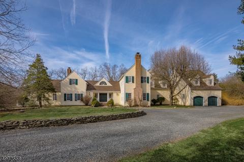 1675 River Rd, Bedminster, NJ 07921 photo 1