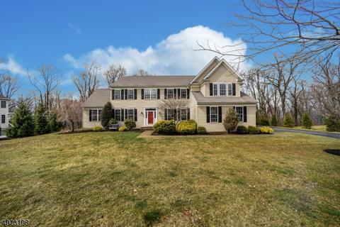 10 Setting Sun Dr, Hackettstown, NJ 07840 photo 1