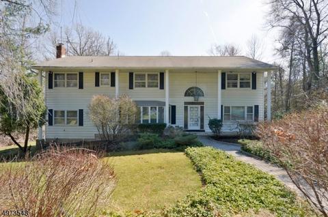 28 Shadow Rd, Upper Saddle River, NJ 07458 photo 1