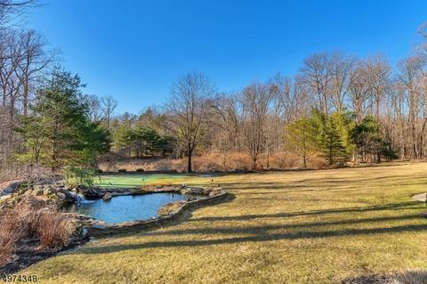 25 Shadowbrook Way, Mendham, NJ 07945 photo 23
