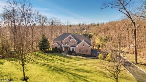 25 Shadowbrook Way, Mendham, NJ 07945 photo 2