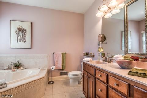 14 Cornerstone Dr, Hackettstown, NJ 07840 photo 10