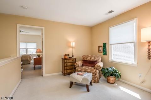 14 Cornerstone Dr, Hackettstown, NJ 07840 photo 13