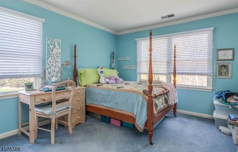 14 Cornerstone Dr, Hackettstown, NJ 07840 photo 14