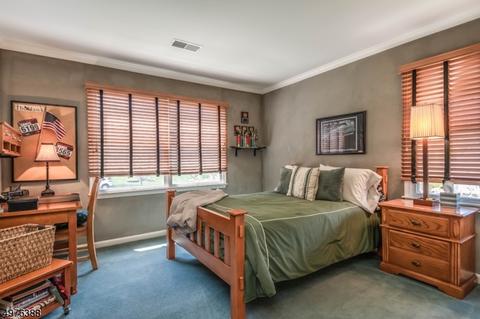 14 Cornerstone Dr, Hackettstown, NJ 07840 photo 15