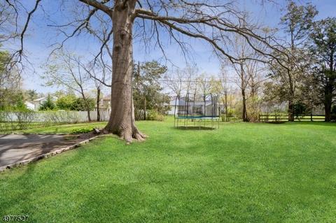 427 Mountain Ave, Springfield, NJ 07081 photo 23