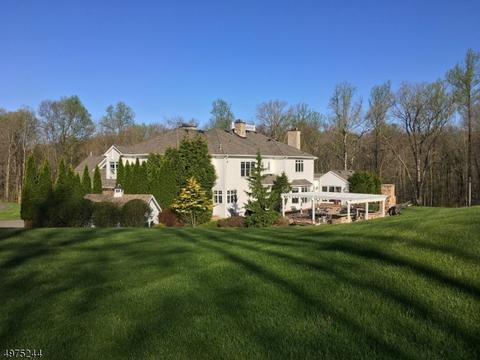 9 Roconan Dr, Mendham, NJ 07945 photo 22