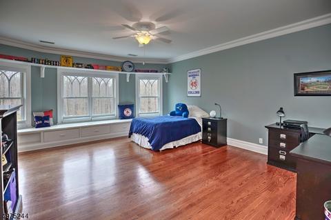 9 Roconan Dr, Mendham, NJ 07945 photo 17