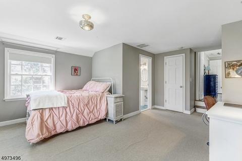 46 Colt Rd, Summit, NJ 07901 photo 20