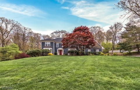 36 Cromwell Dr, Mendham, NJ 07945 photo 1