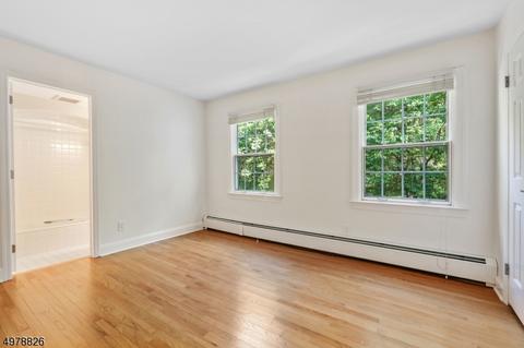 30 Spring Hill Rd, Mendham, NJ 07945 photo 18
