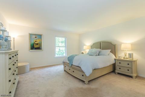 29 Bowfell Ct, Wayne, NJ 07470 photo 12
