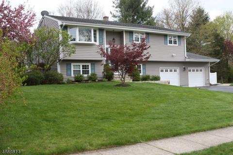 32 Messig Rd, Clinton, NJ 08809 photo 1