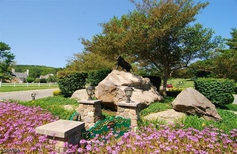 59 Marsh Hawk, Hackettstown, NJ 07840 photo 1