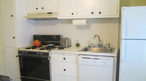 59 Marsh Hawk, Hackettstown, NJ 07840 photo 7
