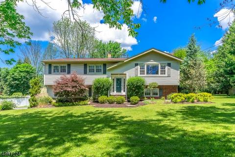 7 E Logan Rd, Randolph, NJ 07869 photo 1