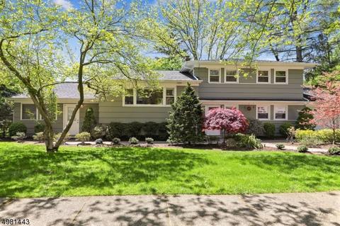 78 Laurel Dr, Springfield, NJ 07081 photo 1
