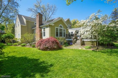 38 Pine Grove Ave, Summit, NJ 07901 photo 22