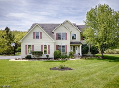 7 Bog Meadow Ln, Hampton, NJ 08827 photo 1