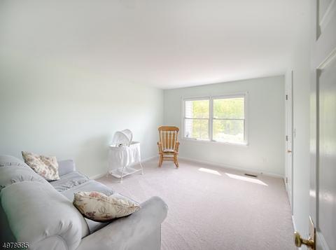 7 Bog Meadow Ln, Hampton, NJ 08827 photo 15