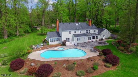 4 Westminster Rd, Mendham, NJ 07945 photo 4