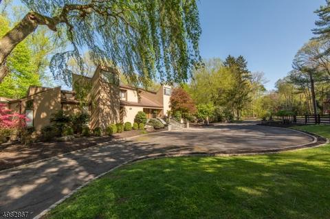 37 E Saddle River Rd, Saddle River, NJ 07458 photo 10