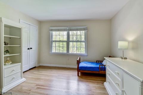 2 N Gate Rd, Mendham, NJ 07945 photo 19