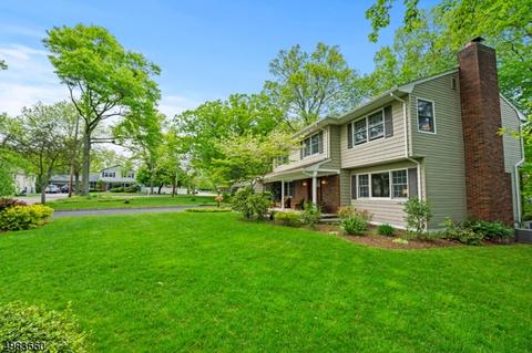 3 Kennedy Ct, Wayne, NJ 07470 photo 25