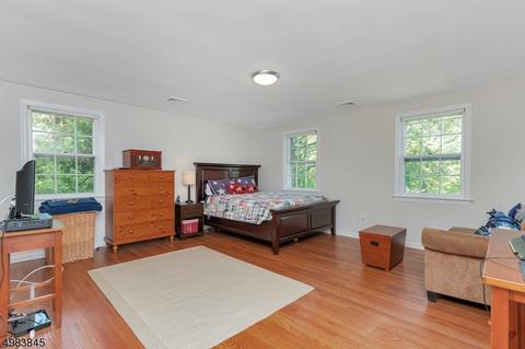 28 Ramsey Dr, Summit, NJ 07901 photo 19