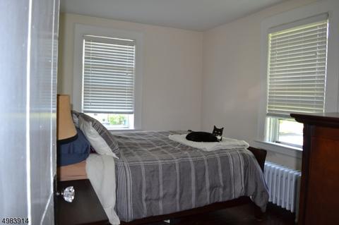 41 E Cliff St, Somerville, NJ 08876 photo 8