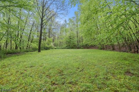 350 River Rd, Hackettstown, NJ 07840 photo 25
