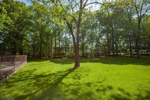 53 Mac Donald Dr, Wayne, NJ 07470 photo 17