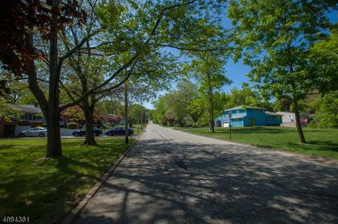 53 Mac Donald Dr, Wayne, NJ 07470 photo 19