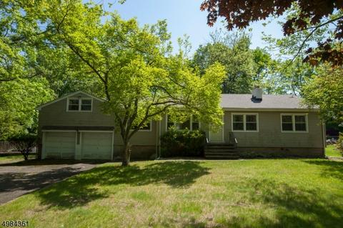 53 Mac Donald Dr, Wayne, NJ 07470 photo 1