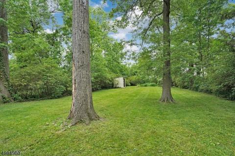 15 Lowell Ave, Summit, NJ 07901 photo 13