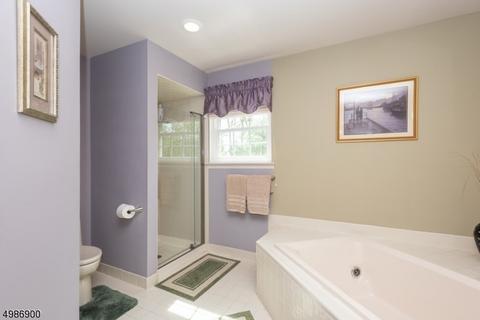 49 Mohawk Trl, Somerville, NJ 08876 photo 14