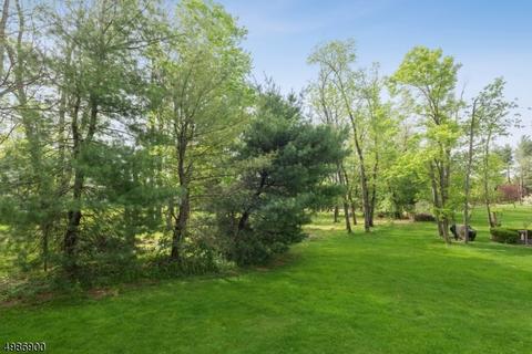 49 Mohawk Trl, Somerville, NJ 08876 photo 24