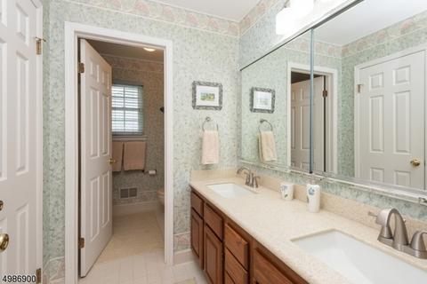 49 Mohawk Trl, Somerville, NJ 08876 photo 20